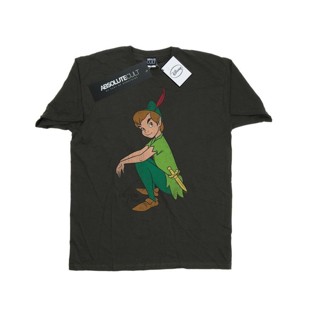 Peter Pan Mens Classic Heather T-Shirt / Light Graphite